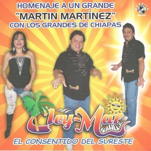 Homenaje A Un Grande