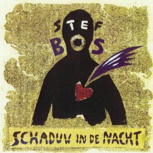 Schaduw In De Nacht