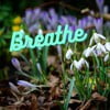 Breathe