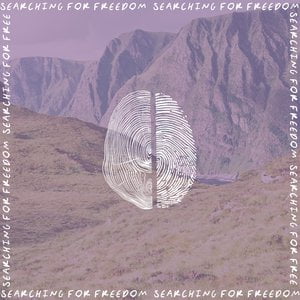 SFF_Demos (Demo Version)