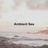 Ambient Sea