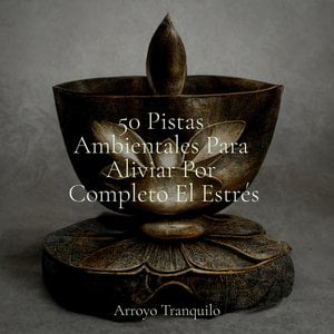 50 Pistas Ambientales Para Aliviar Por Completo El Estrés