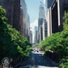 City Life