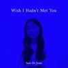 Wish I Hadn’t Met You