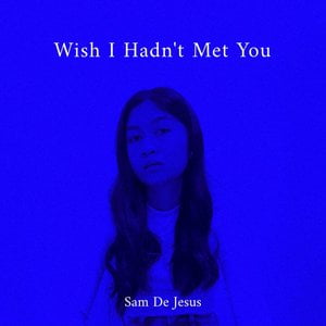 Wish I Hadn’t Met You