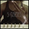 S 5enses