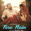 Tere Nain
