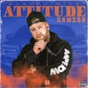 BABTOU WITH ATTITUDE