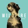 Wildfire