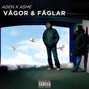 Vågor & Fåglar