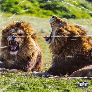 Lions, Tigers, & Bears