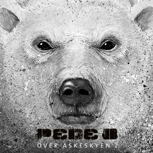 Over Askeskyen 2