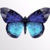 Butterfly Effect