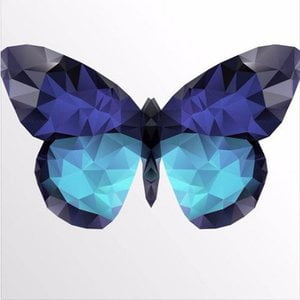 Butterfly Effect