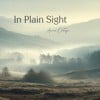 In Plain Sight