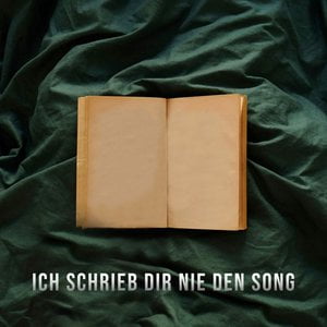 Ich schrieb dir nie den Song