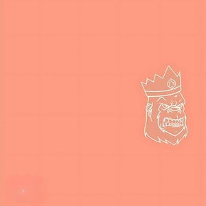 The Pimpton Lp