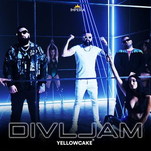 Divljam