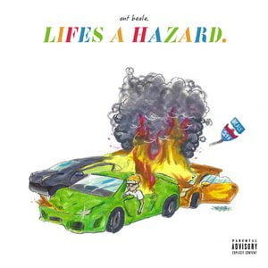 Life's a Hazard