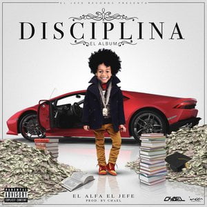 Disciplina