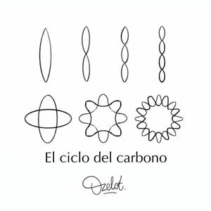El Ciclo del Carbono