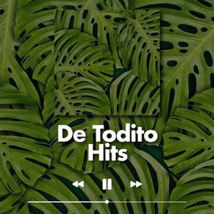 De todito Hits