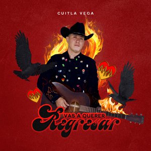 Vas A Querer Regresar