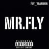 Mr.Fly
