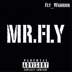Mr.Fly