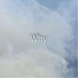 Why