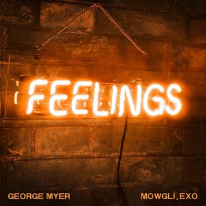 Feelings