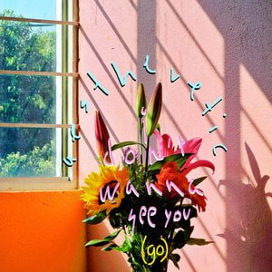 I Don´t Wanna See You (Go)