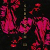 Subsidium III