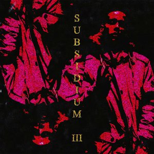 Subsidium III