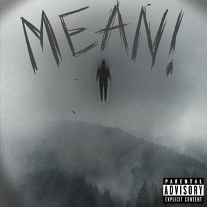 MEAN!