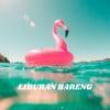 Liburan Bareng