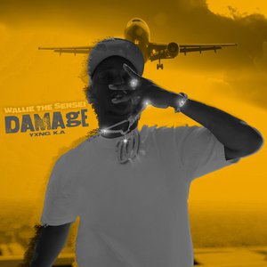 Damage