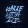 Whole Lotta Ice