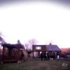 From Under the Shed: Volume 1