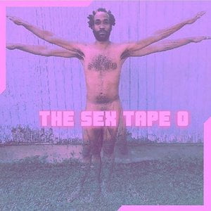 The Sex Tape 0