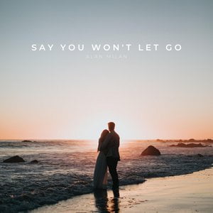 Say You Won't Let Go
