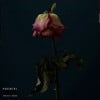 All Roses Die