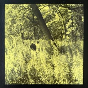Field Tape Demo 1: Arboreal Evacuation