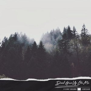 Don't Give Up on Me