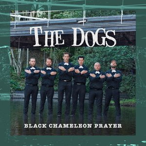 Black Chameleon Prayer