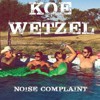 Noise Complaint