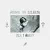 All I Want