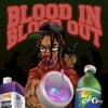 Blood in Blood Out