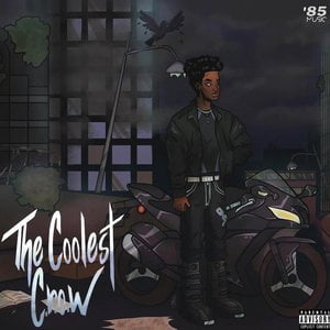 The Coolest Crow