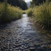 In the alluvial flow of the soul's journey